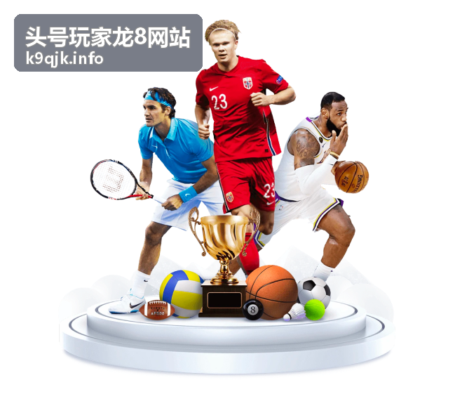头号玩家龙8网站界面与功能导览手册